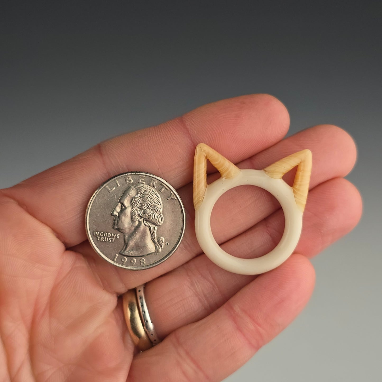 Flame Point Siamese Kitty Face