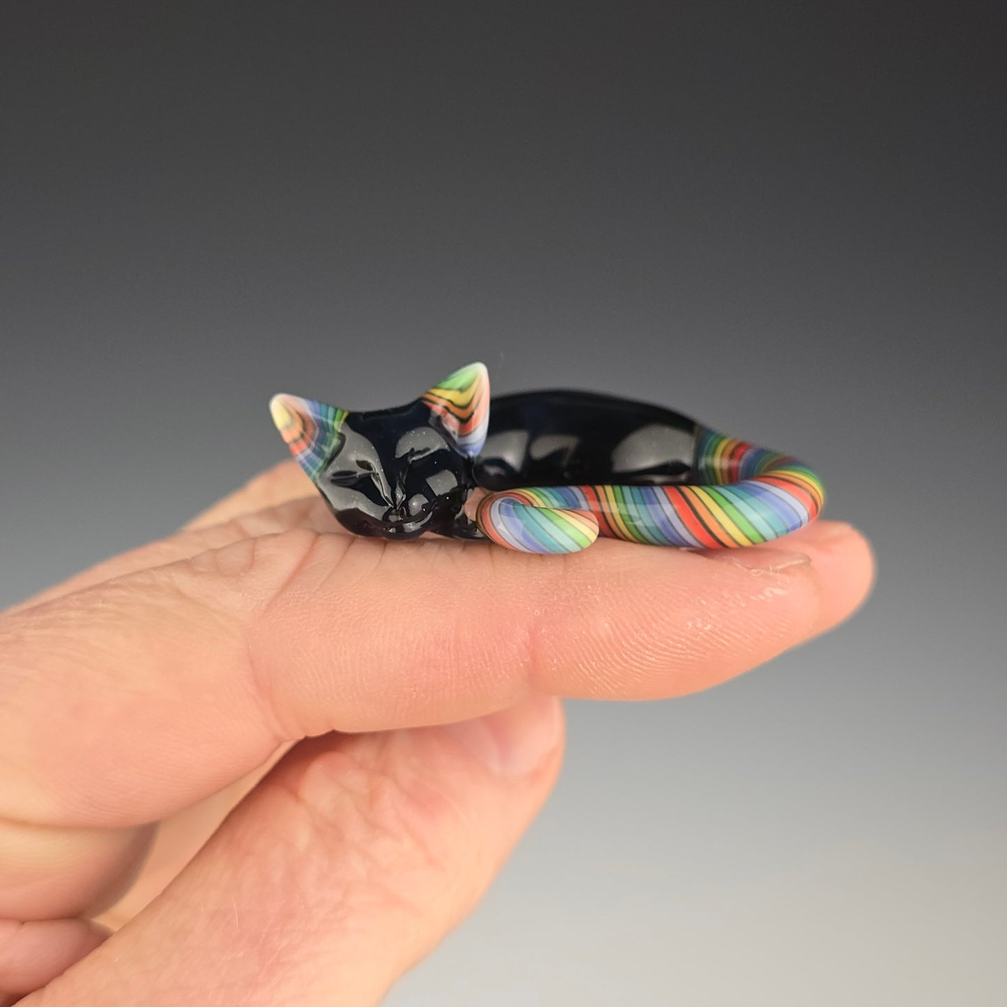 Galaxy Rainbow Siamese: small