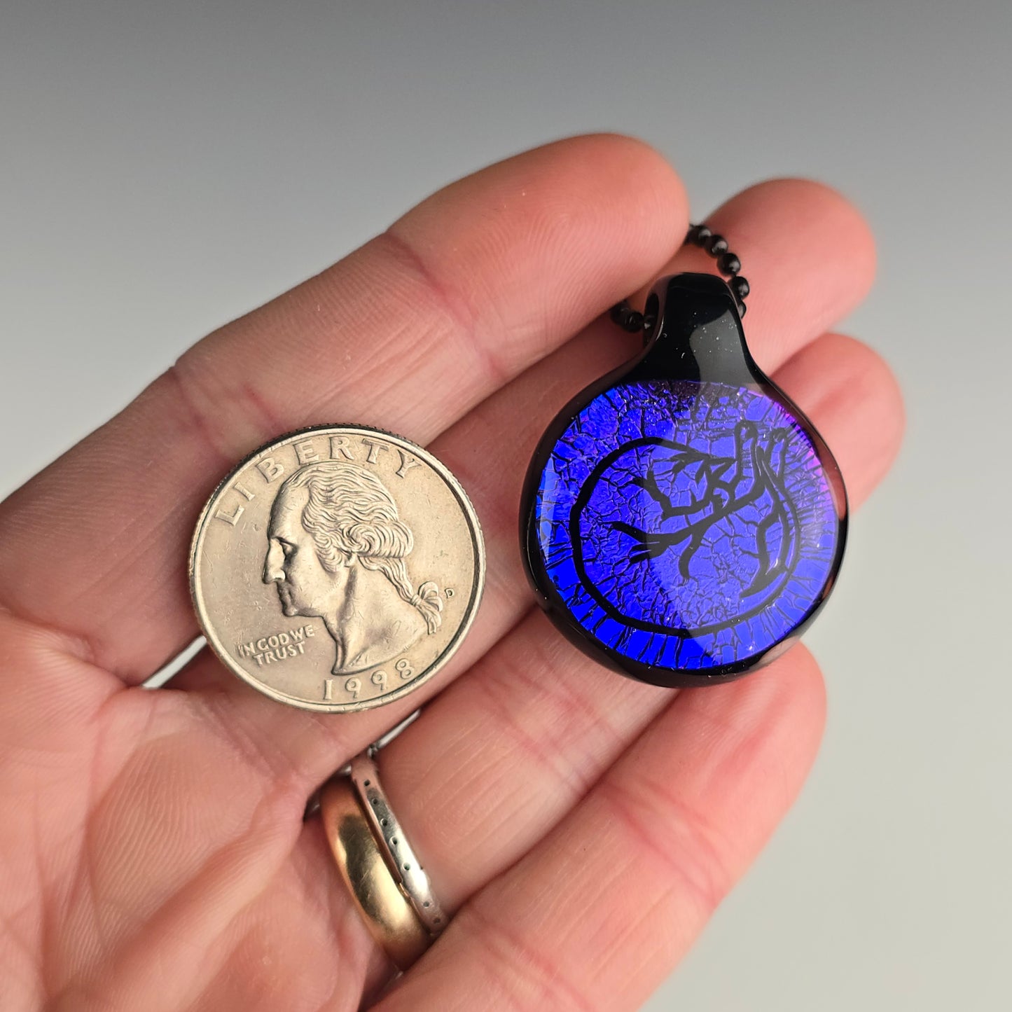 Large Purple Dichro: Shrimpin' Kitty