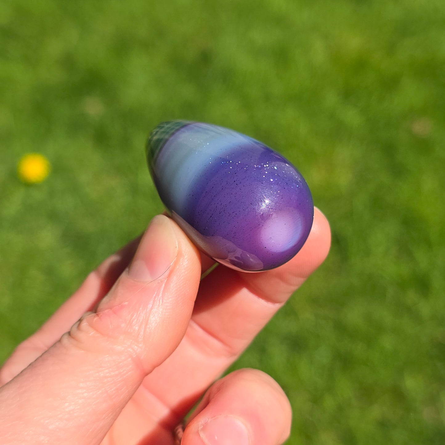 Mash Up Egg #1 CFL