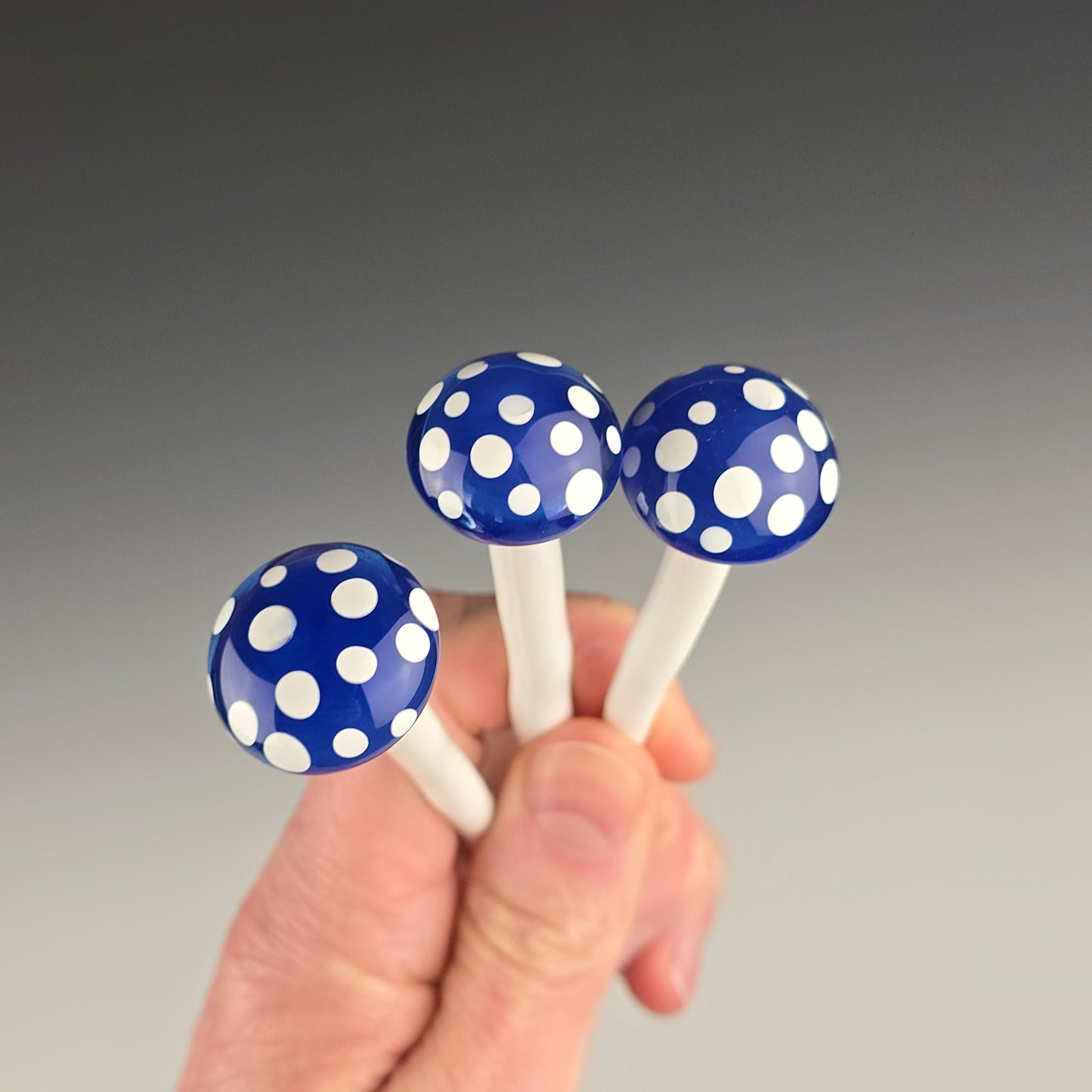 Plant Flare Mushroom: Blue Cheese