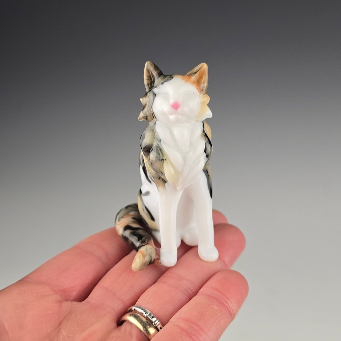 Longhaired Sitting Calico Cat