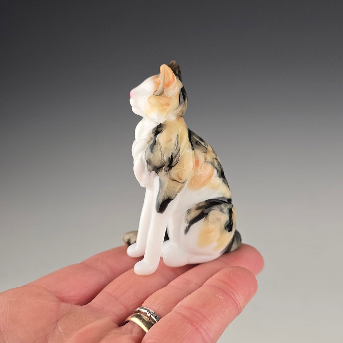 Longhaired Sitting Calico Cat