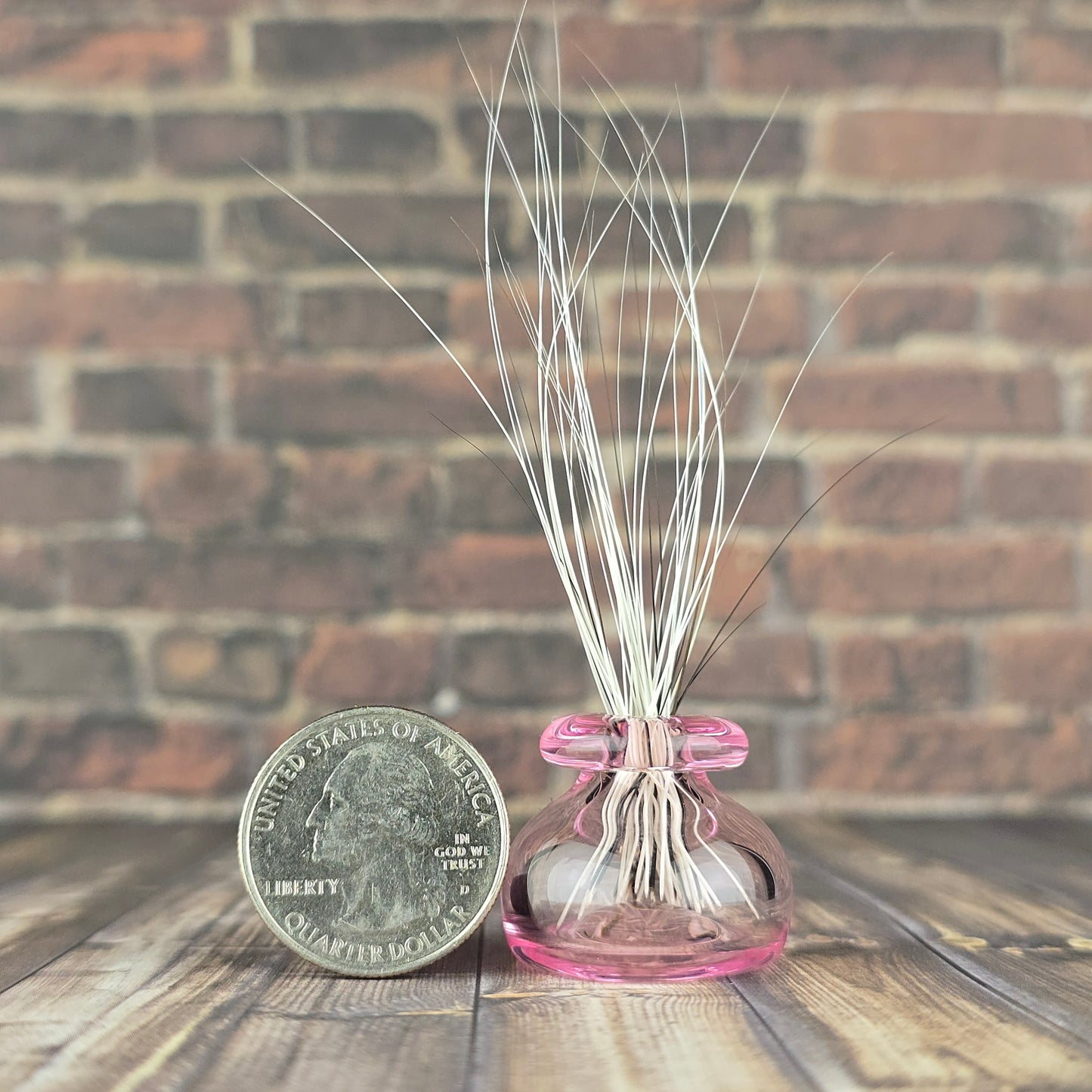 Mini Pink Whisker Vase