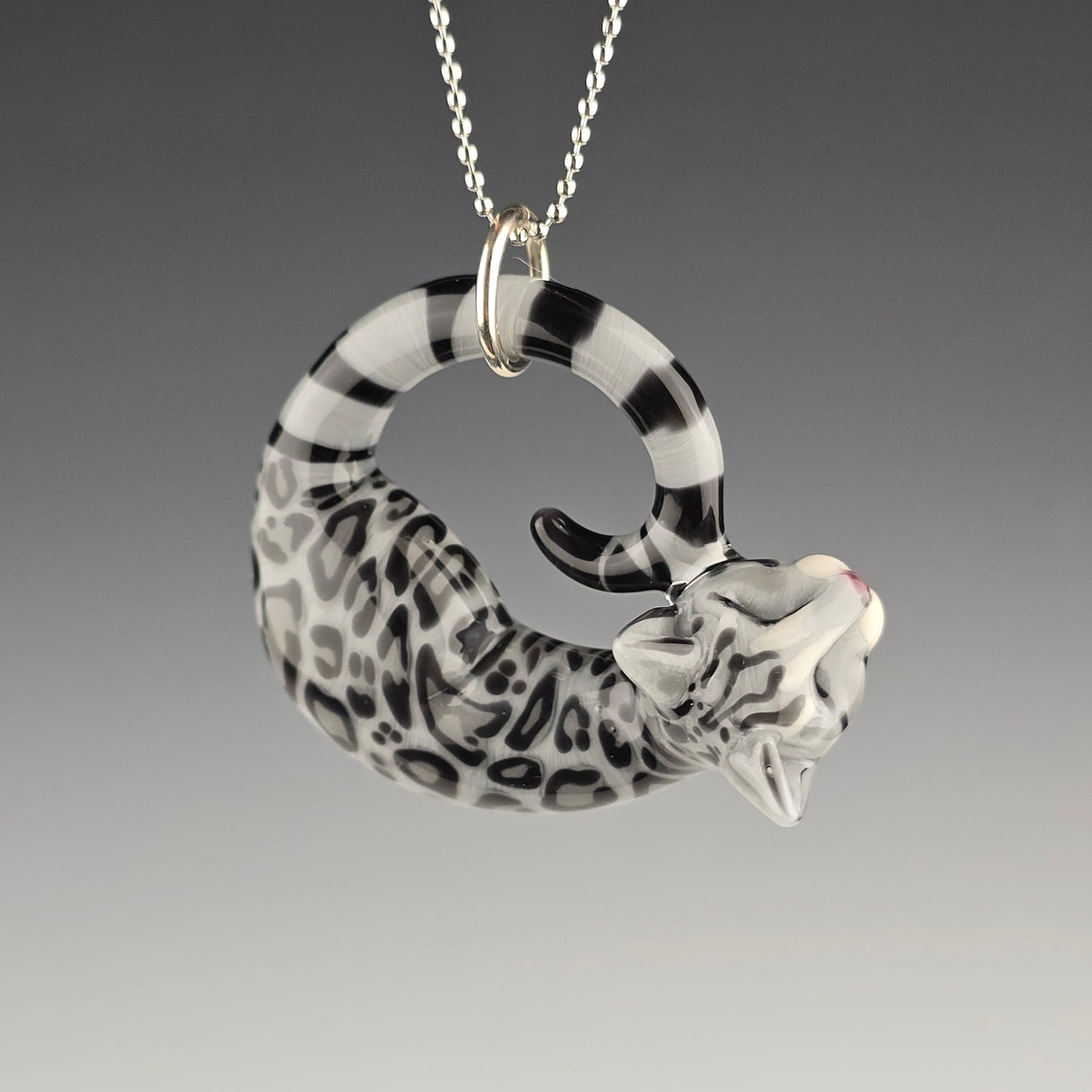 Silver Bengal: Large