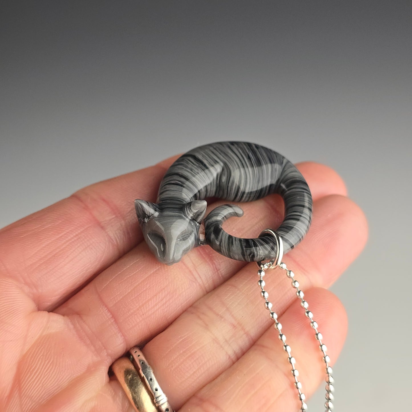 Gray & Black Tabby: small