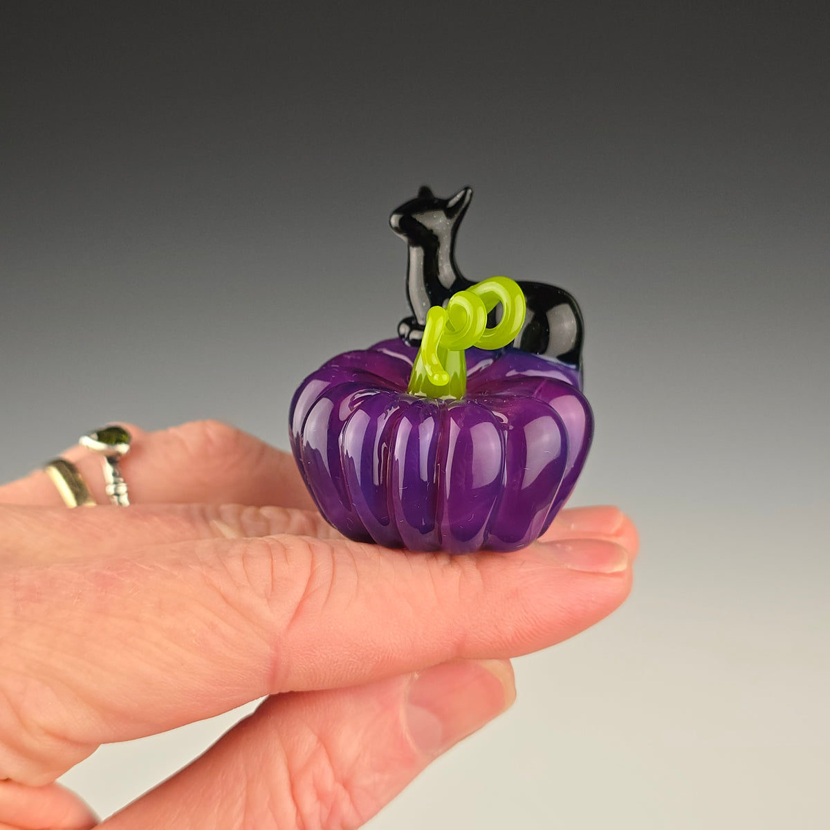 Royal Jelly Pumpkin with a Galaxy Black Loaf