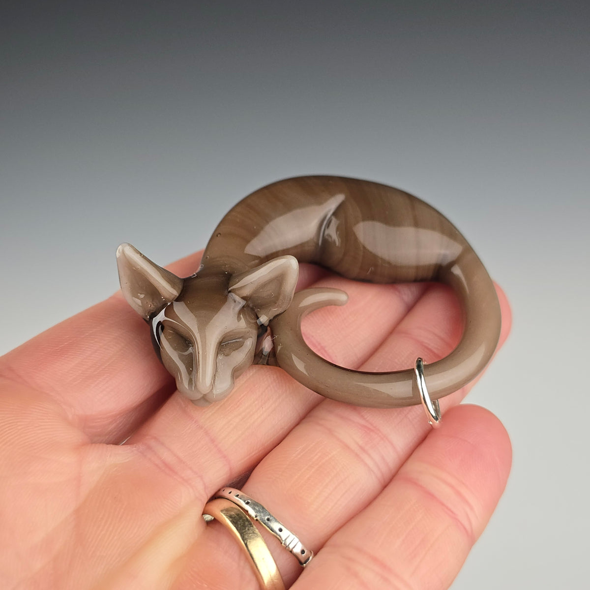 Oriental Shorthair: large