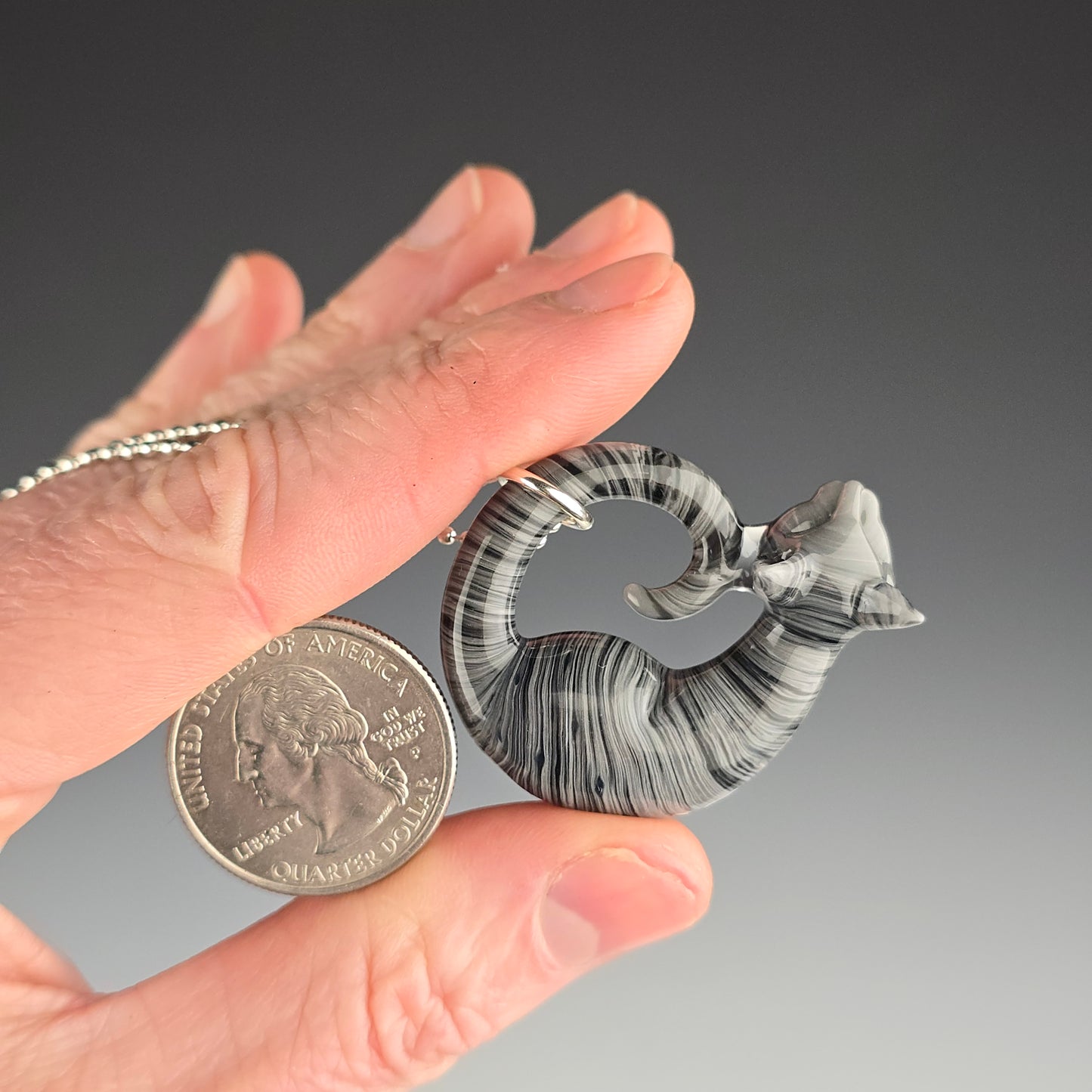 Gray & Black Tabby: small