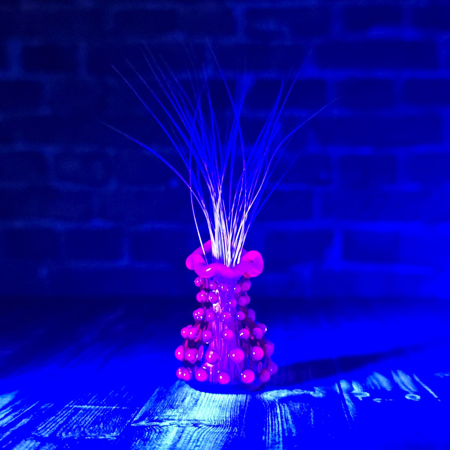 Pomegranate & Pink UV Hobnail