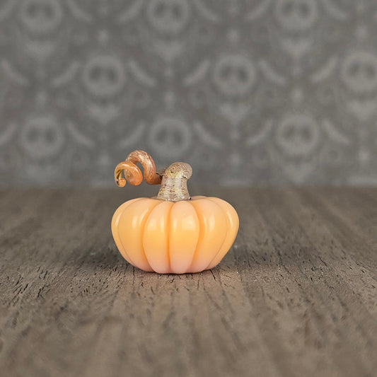 Pumpkin: Chanterelle (smaller)