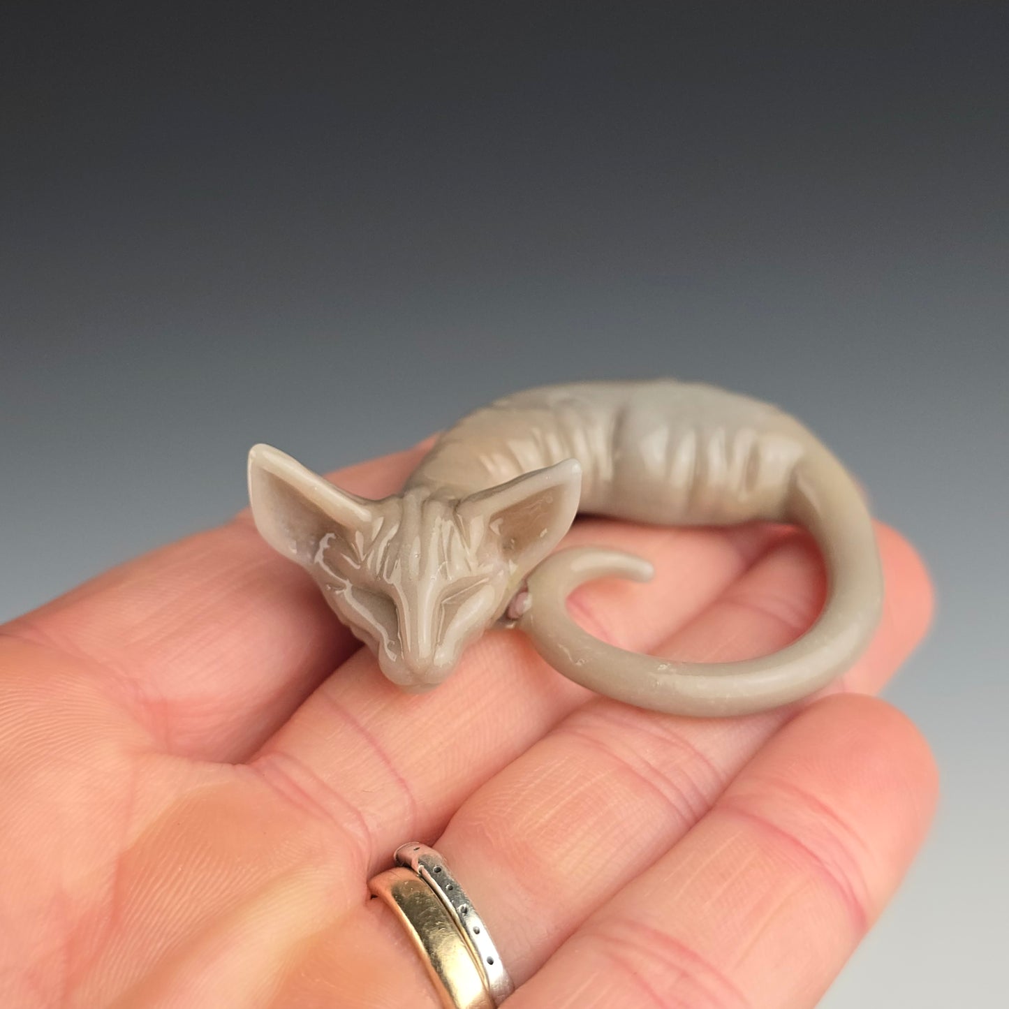 Sphynx: regular