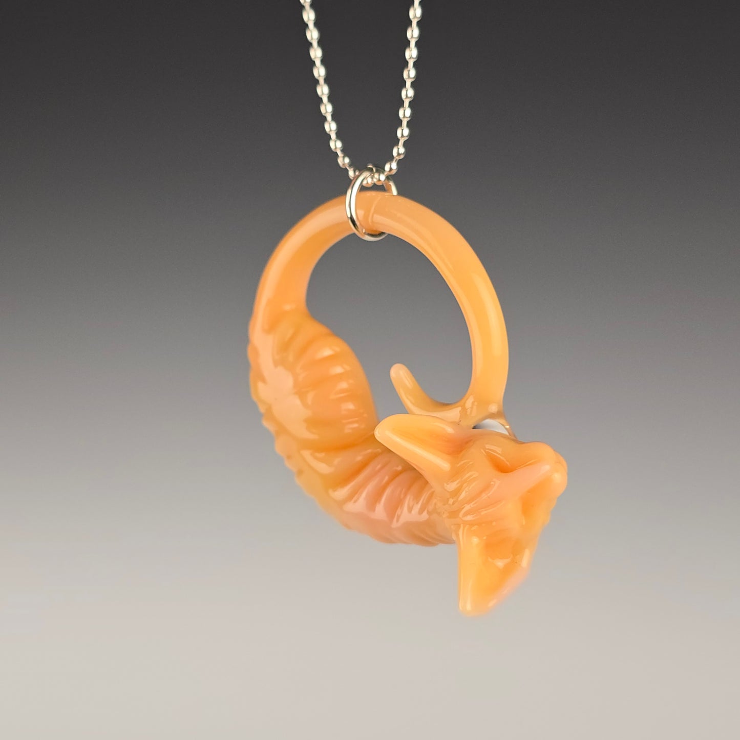 Chanterelle Sphynx: large