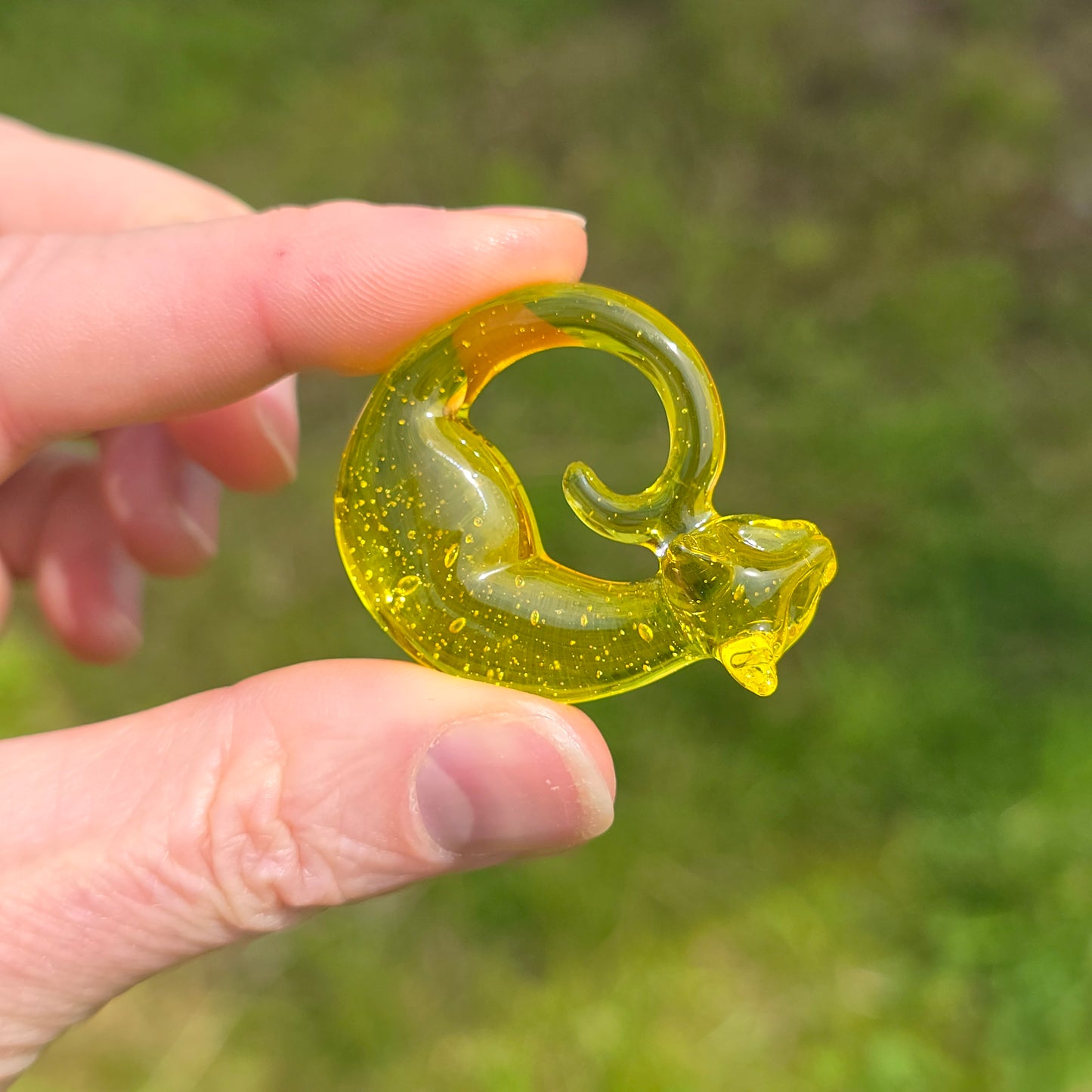 CFL Terps: small