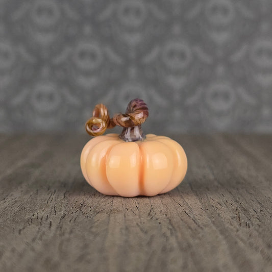Pumpkin: Chanterelle with Tan Stem