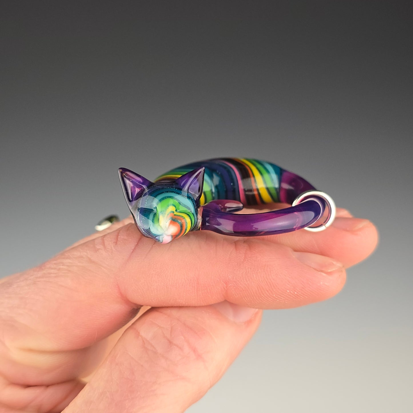 Royal Rainbow: regular