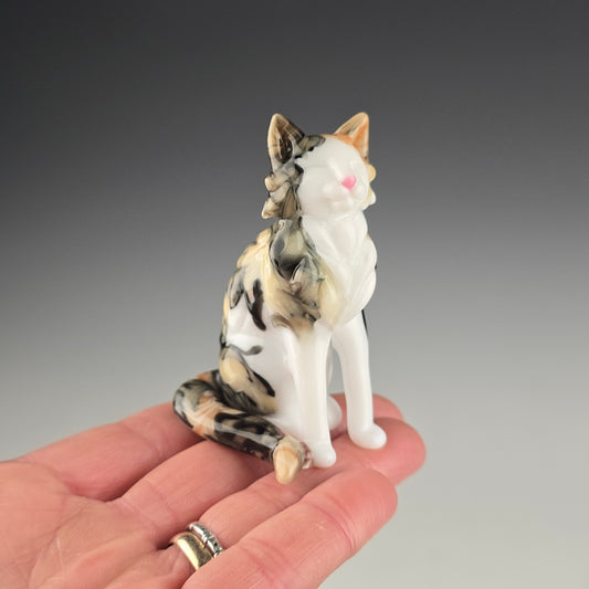 Longhaired Sitting Calico Cat