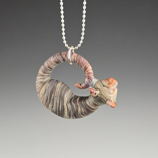 Frosted Brown Tabby: regular