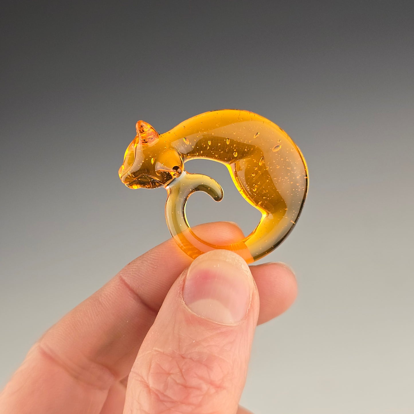 CFL Terps: small