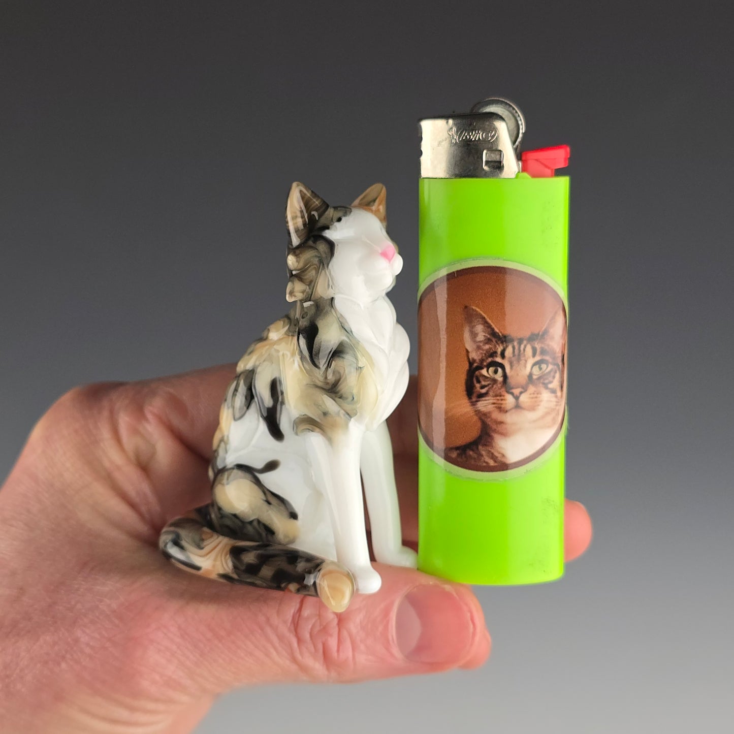 Longhaired Sitting Calico Cat