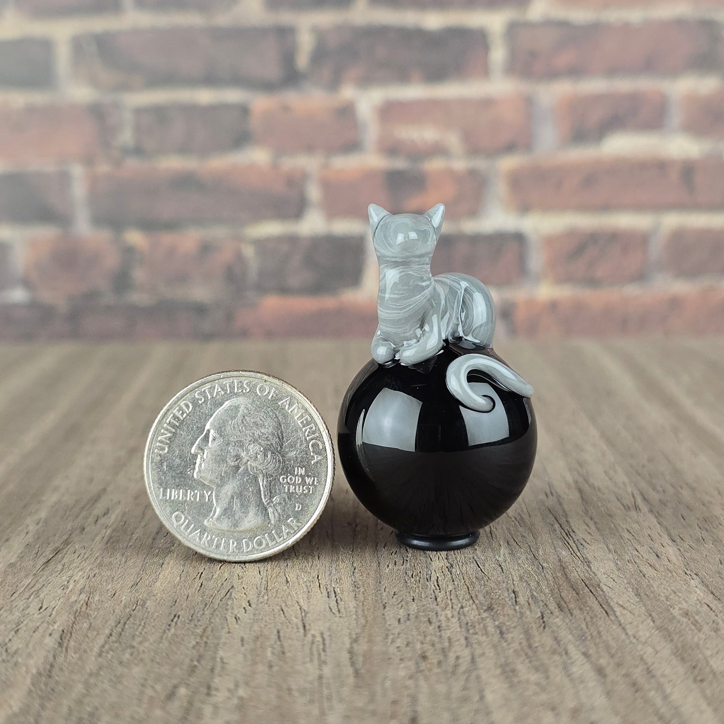 Gray Tabby on Onyx 26mm