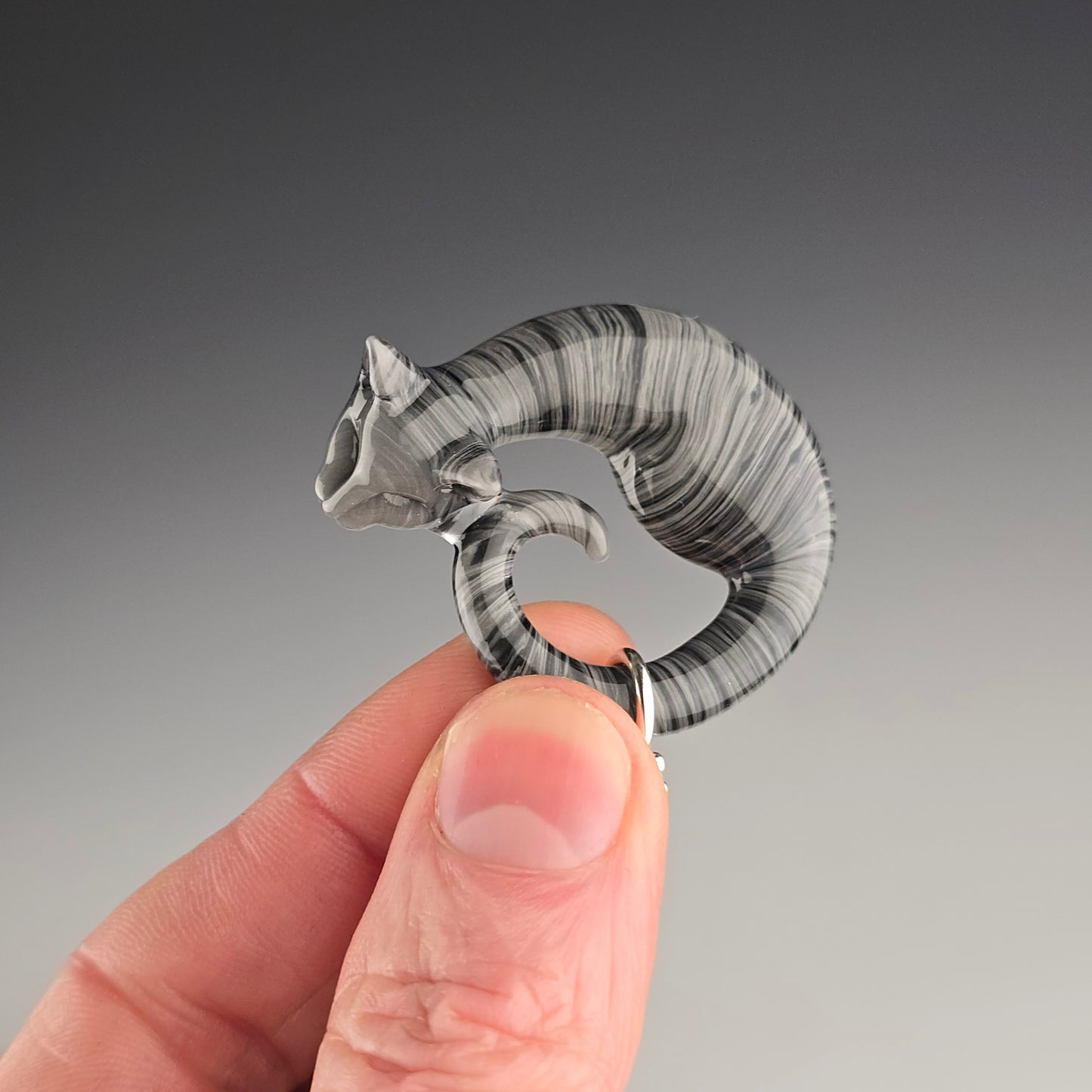 Gray & Black Tabby: small