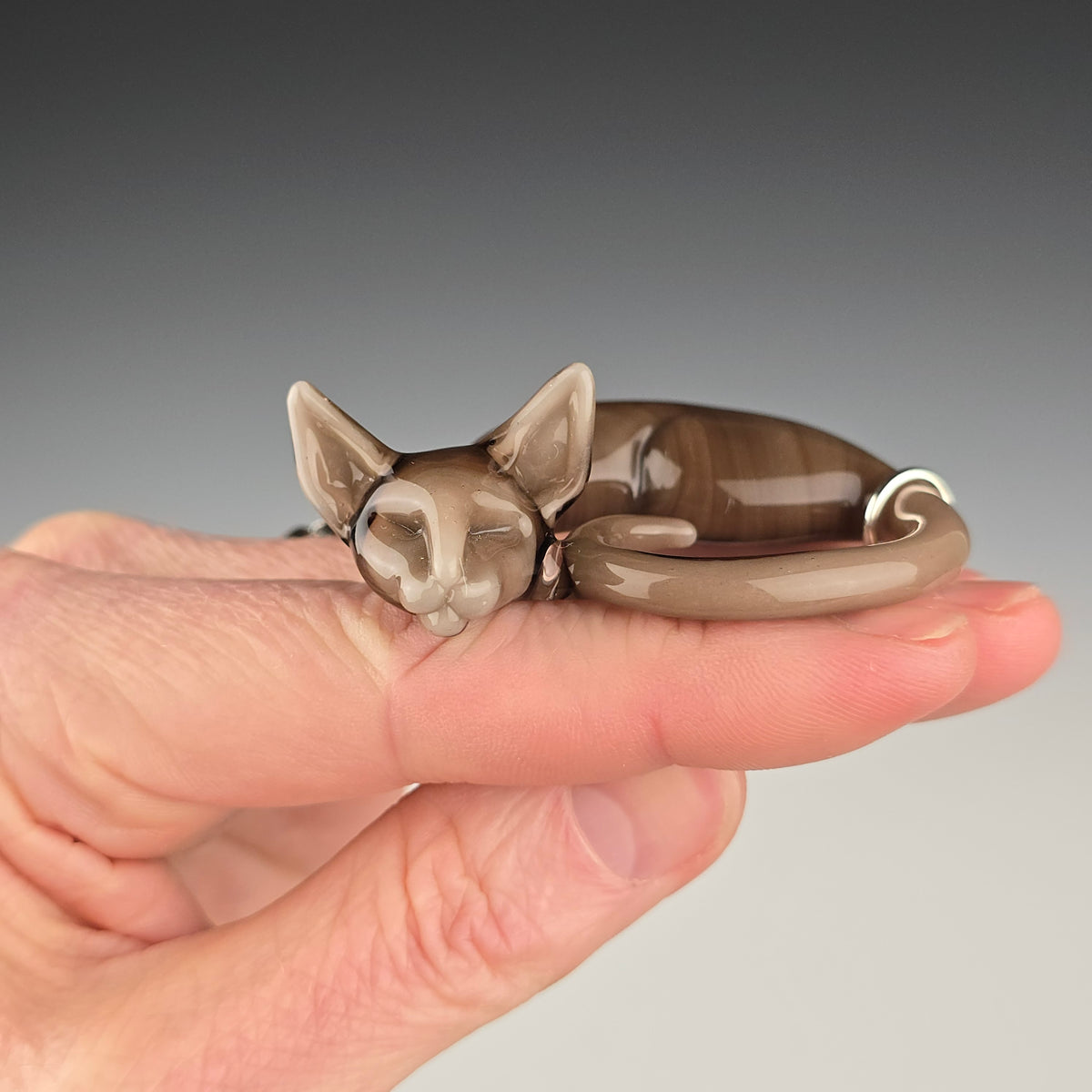Oriental Shorthair: large