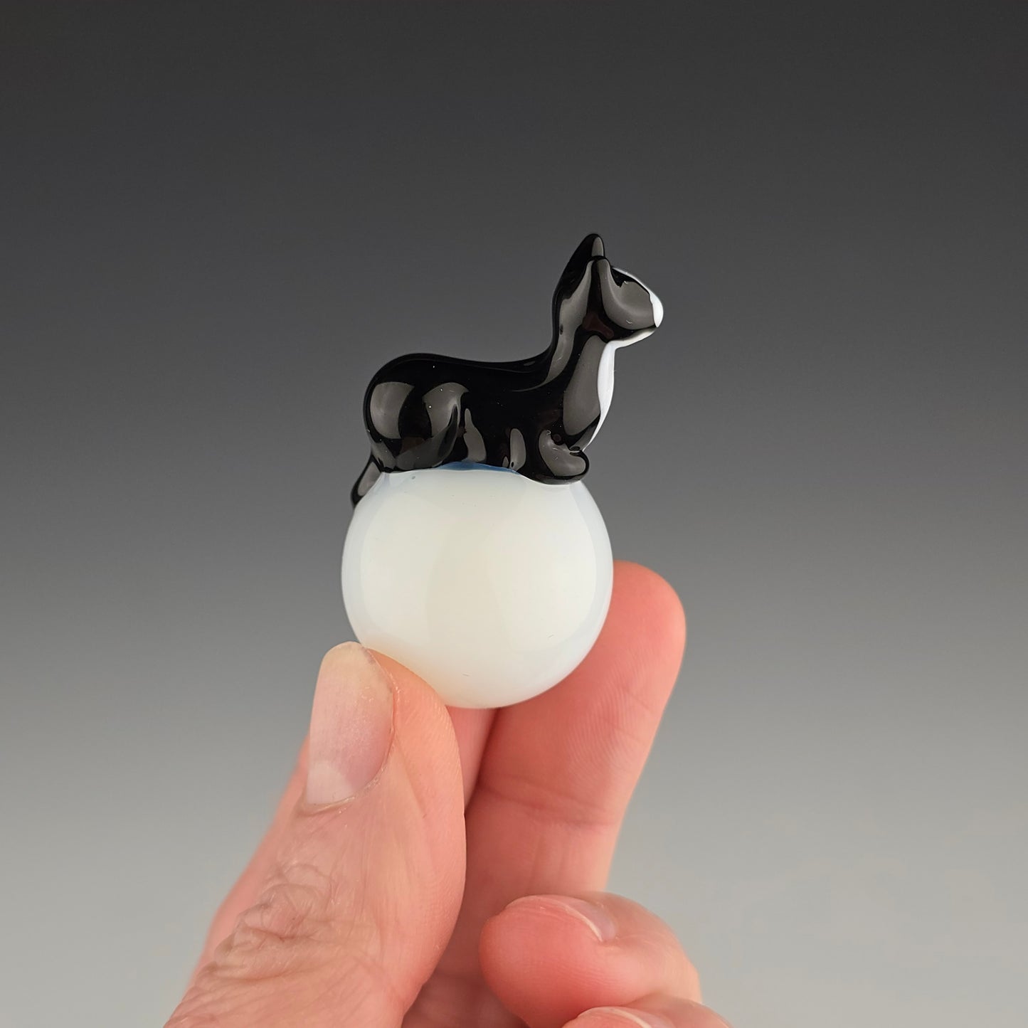 Tuxedo Ghost 25mm