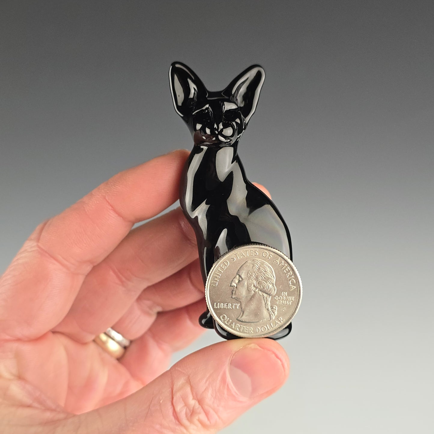 Onyx Oriental Shorthair Sitting Kitty