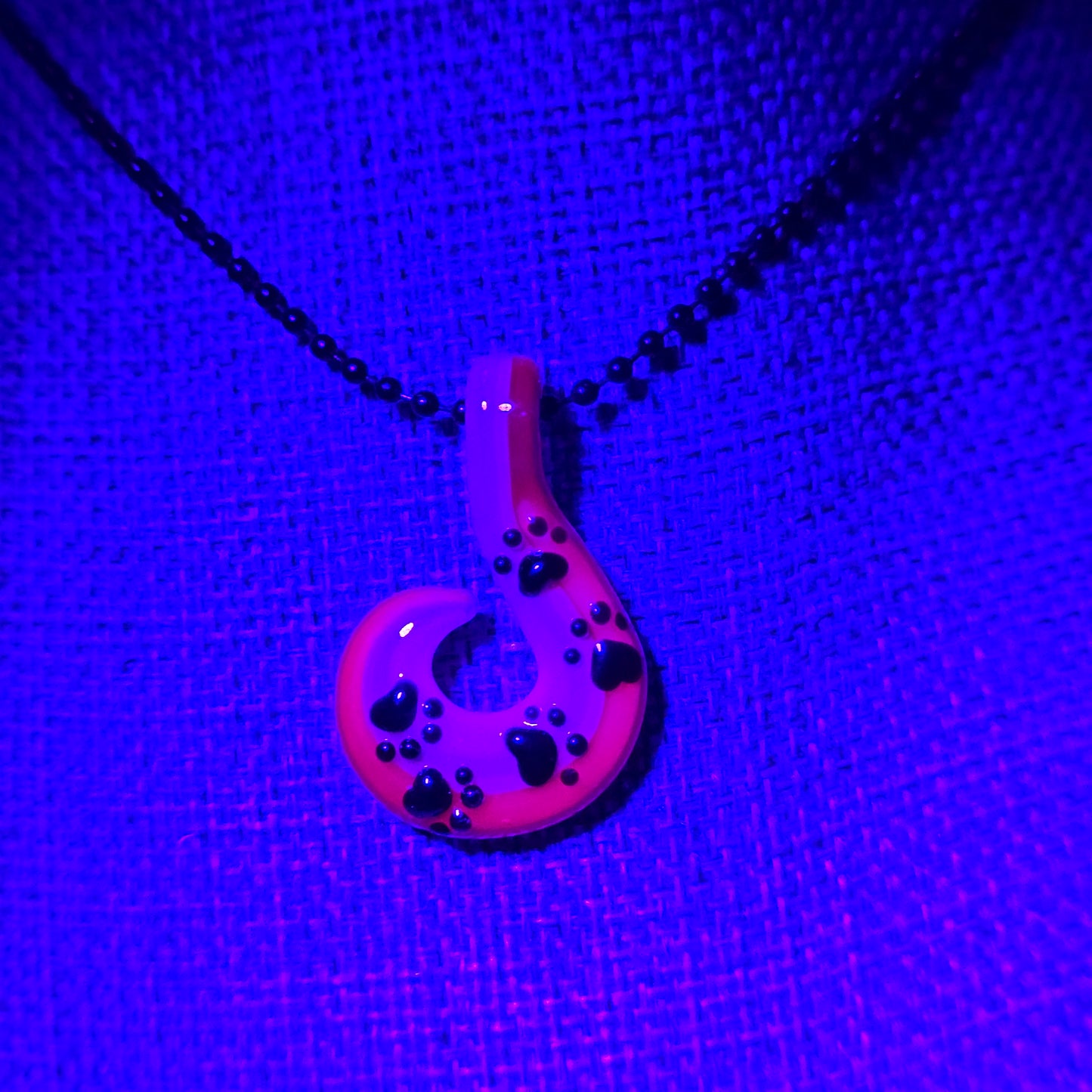 UV Rainbow Paw Print Spiral