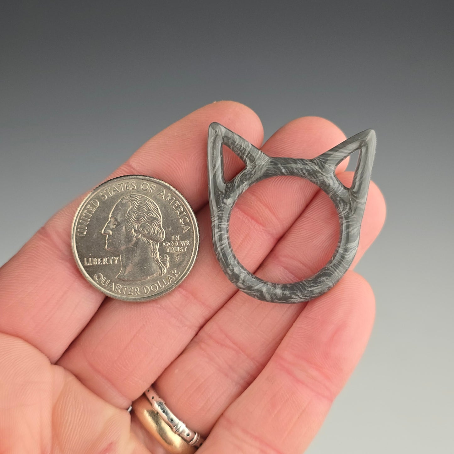 Gray Tabby Kitty Face