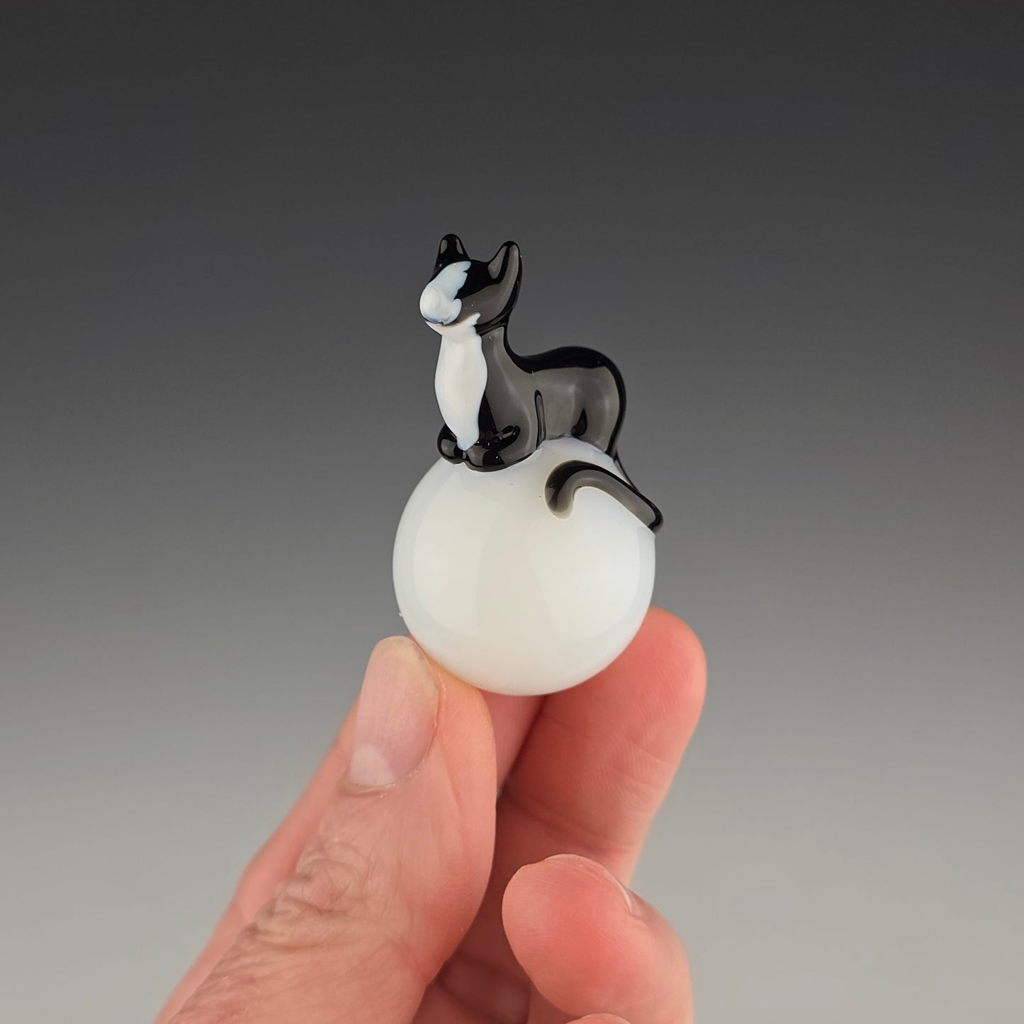 Tuxedo Ghost 25mm