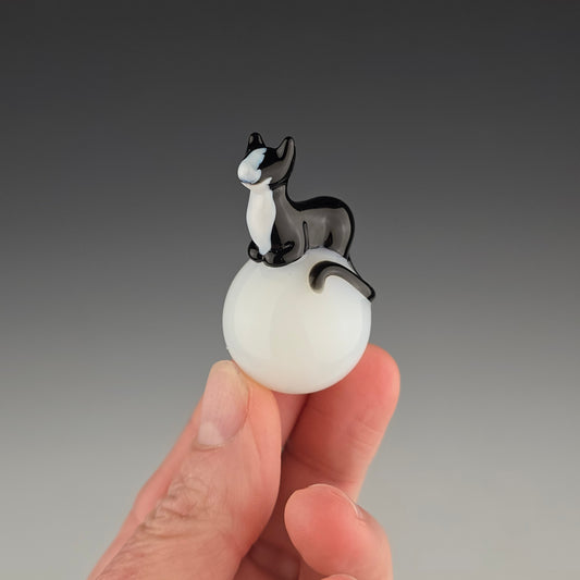 Tuxedo Ghost 25mm