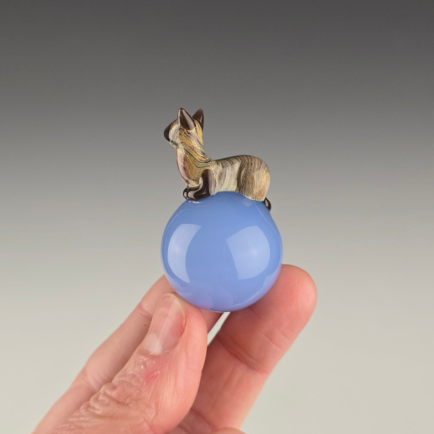 Siamese on Ether 26.6mm