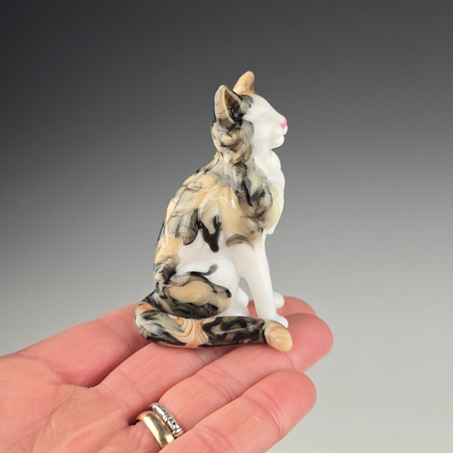 Longhaired Sitting Calico Cat