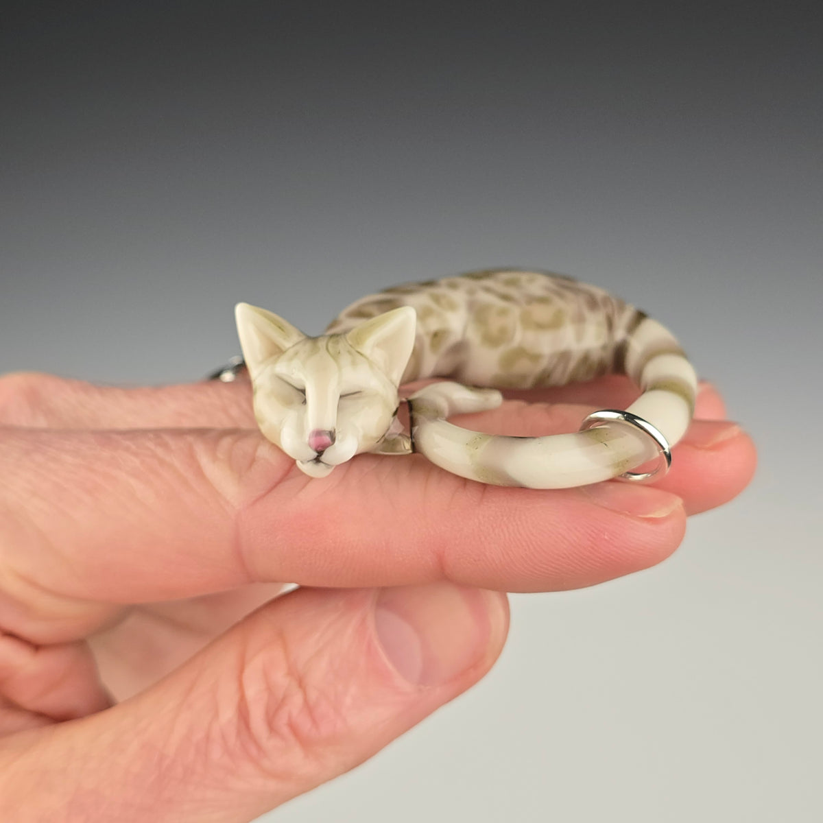 Snow Lynx Bengal: large