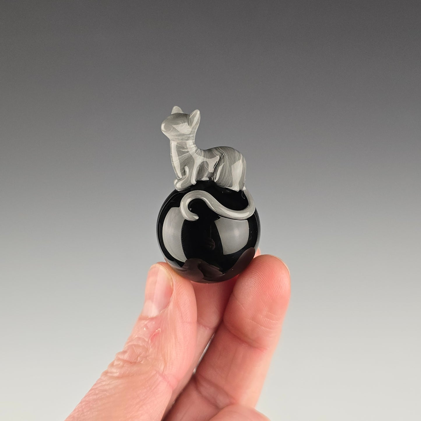 Gray Tabby on Onyx 26mm