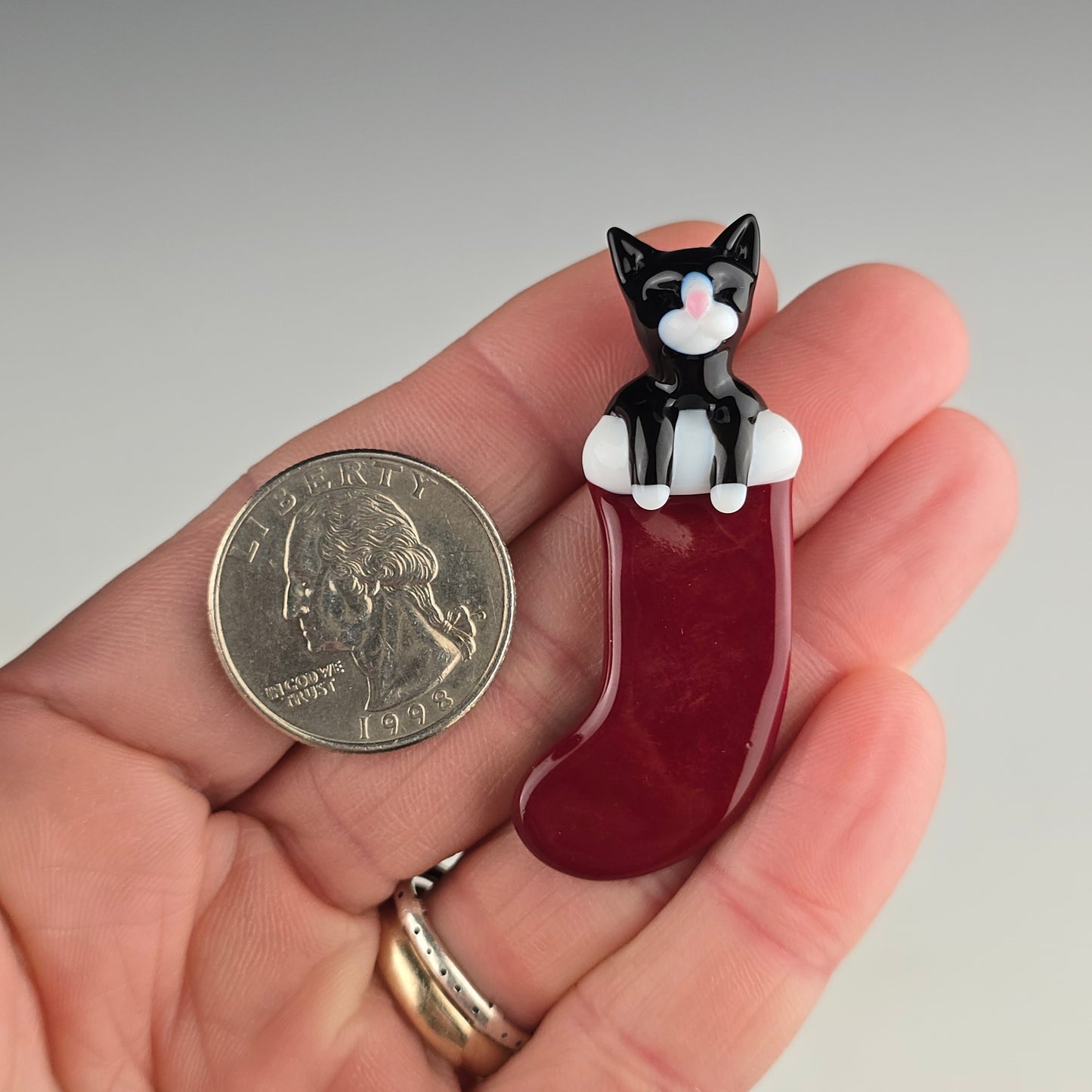 Tuxedo in a Stocking