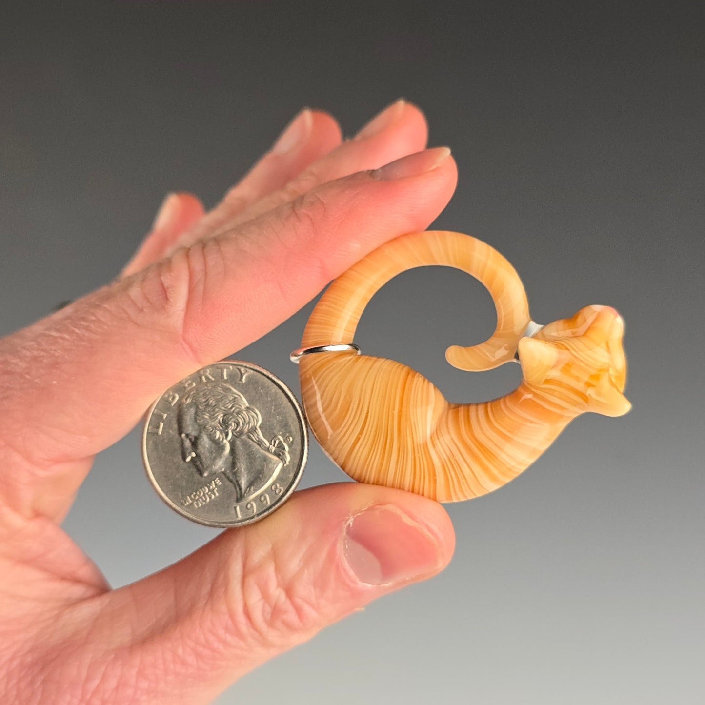 Orange Tabby: regular