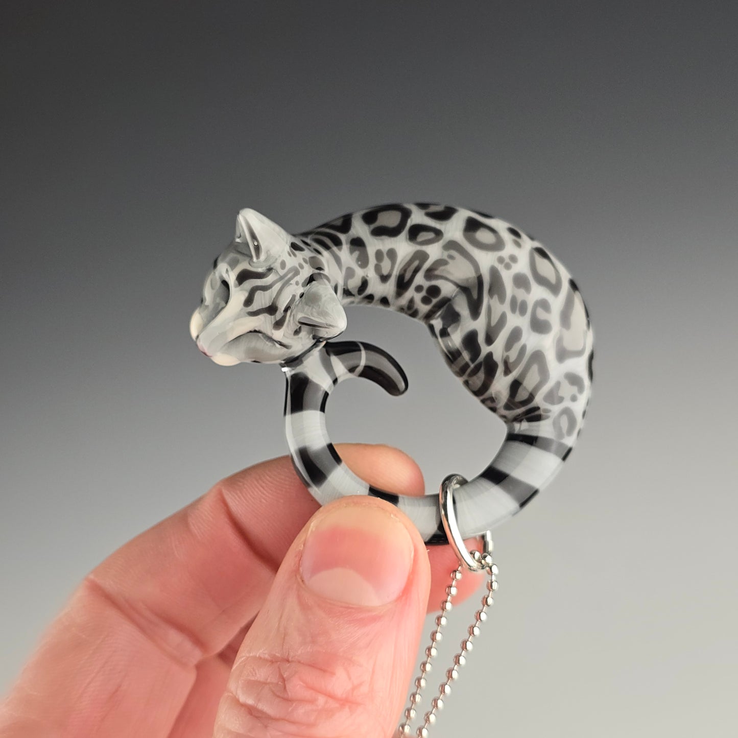 Silver Bengal: Large