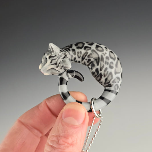 Silver Bengal: Large