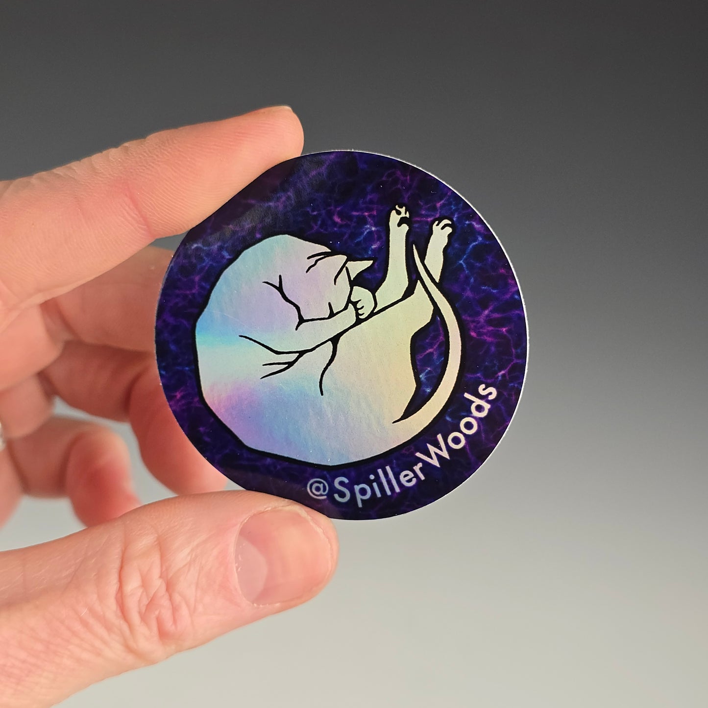 2 inch circular holographic sticker with cat in shrimpin' pose 