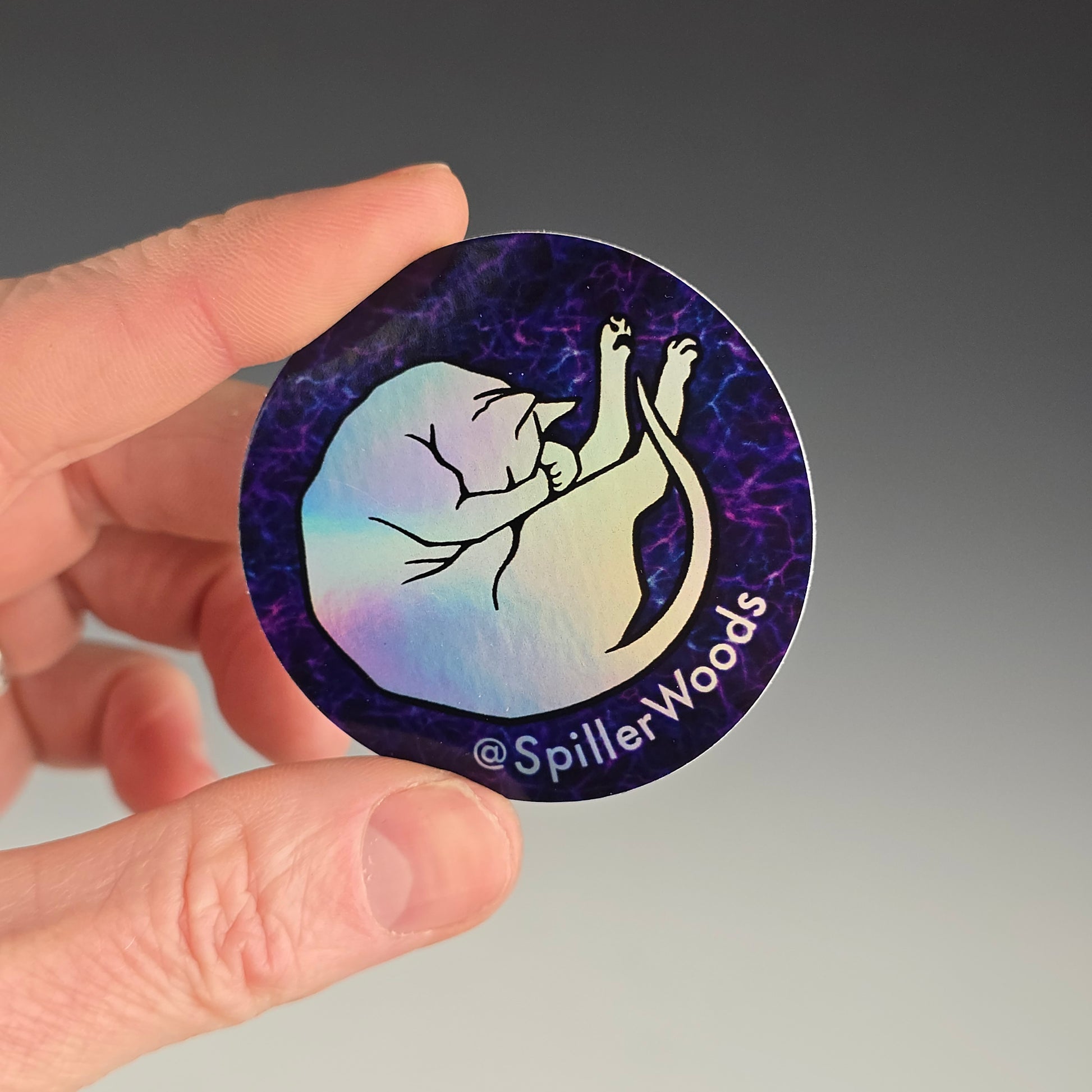 2 inch circular holographic sticker with cat in shrimpin' pose 