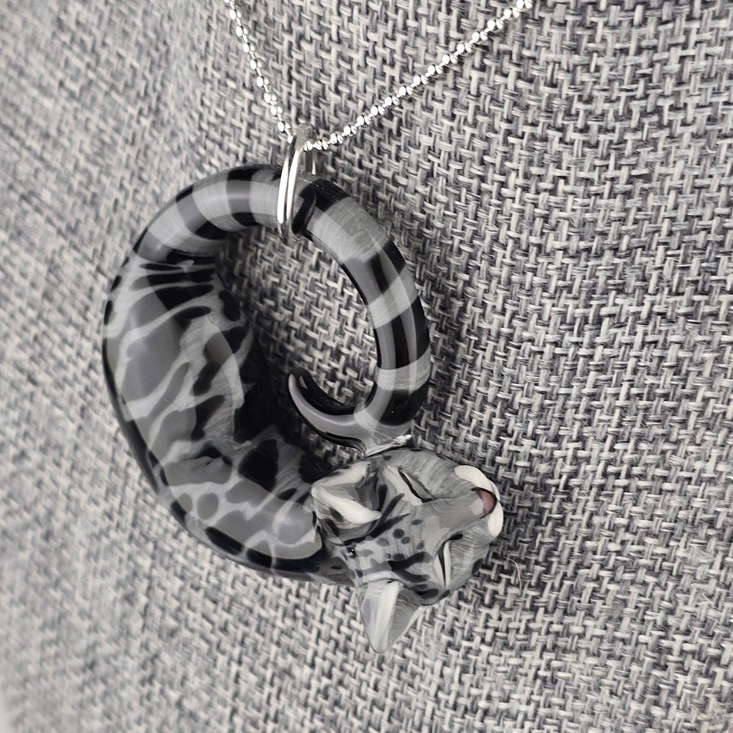 Black & Gray Swirl Tabby: large